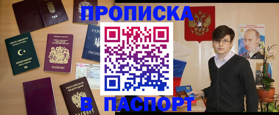 прописка 2025 в Солнечногорске